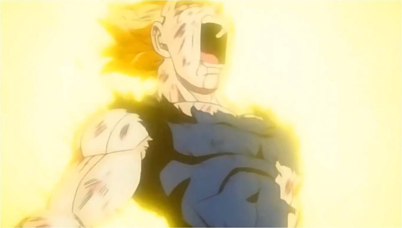 Vegeta Dies