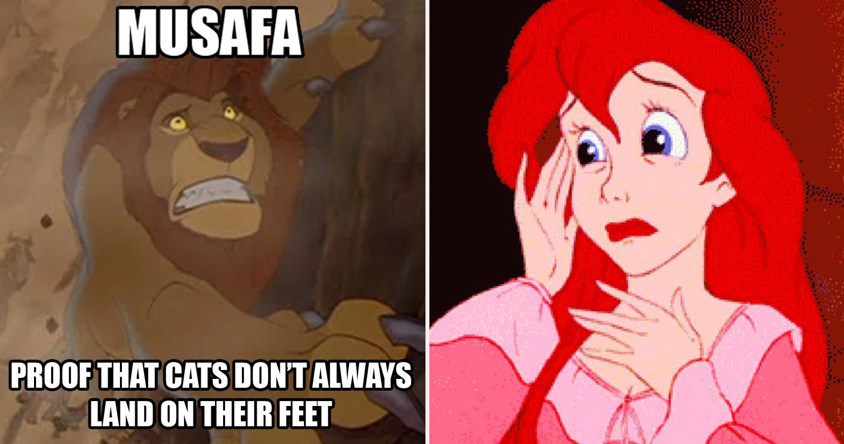 Hilarious S Disney Movie Memes That Prove They Make No Sense