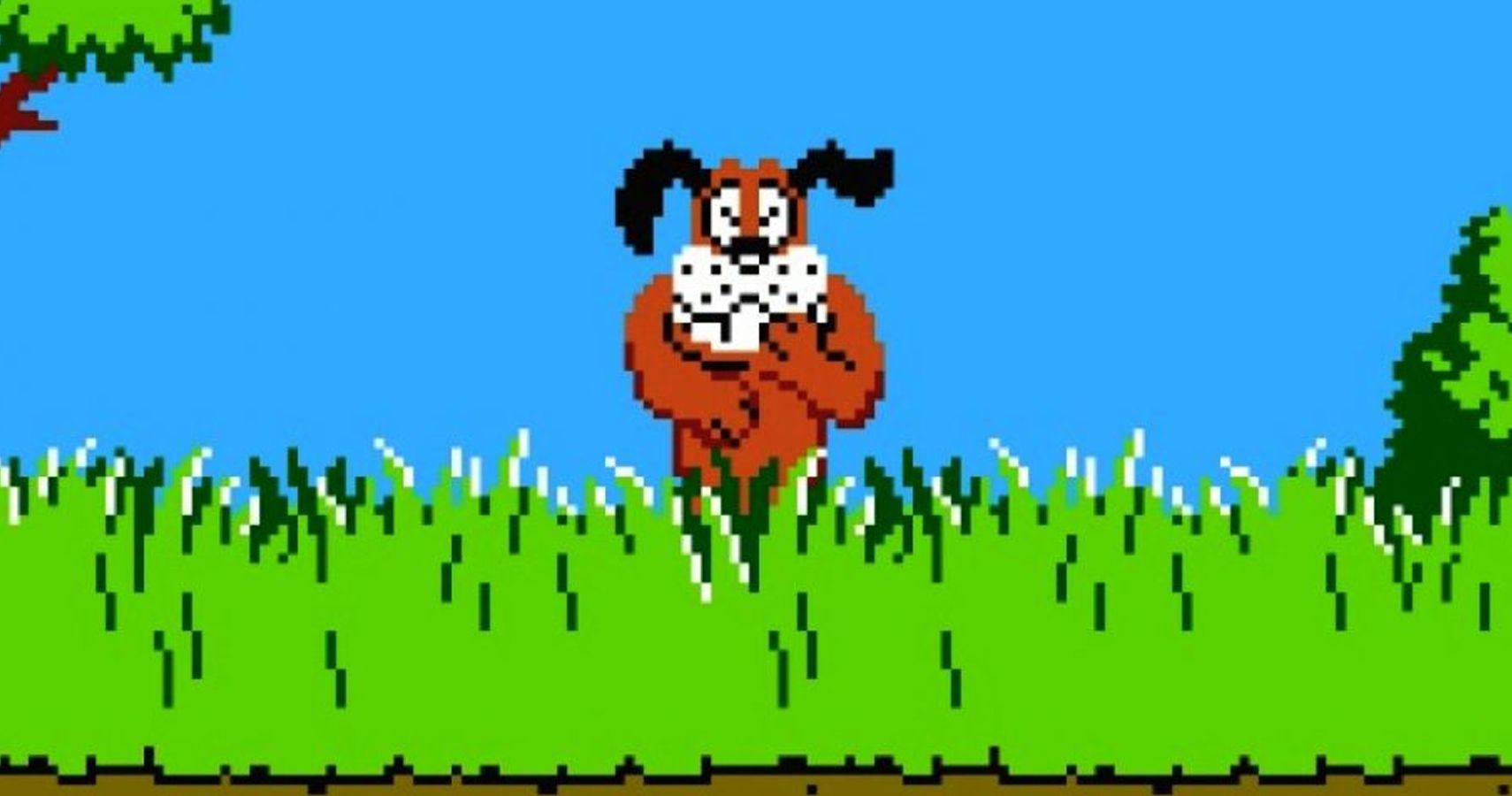 Duck Hunt Dog