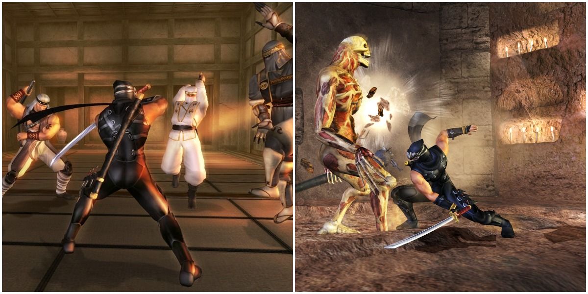 Ninja Gaiden Black Split Image