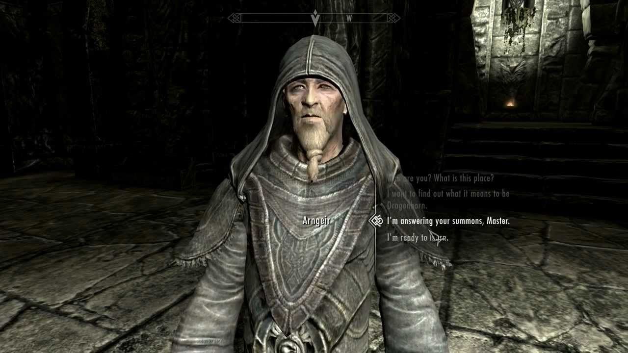 Skyrim Greybeard