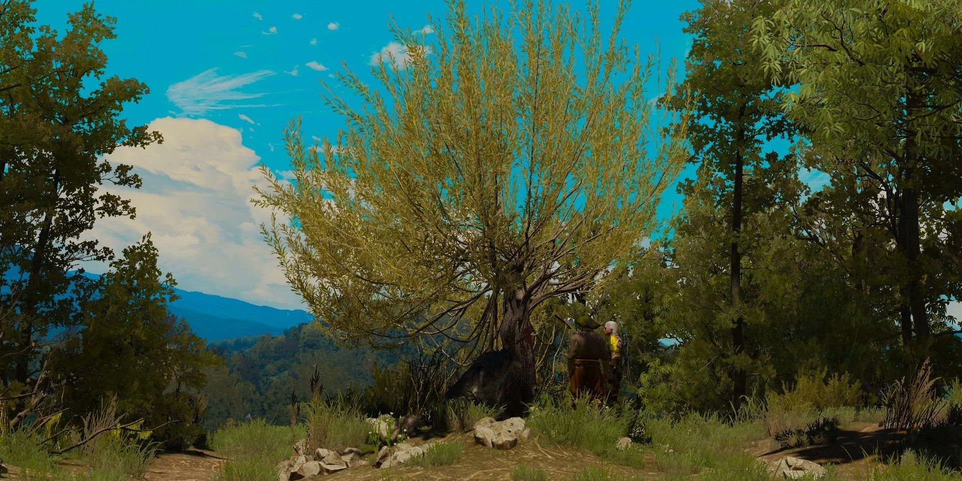 Witcher 3 Blood And Wine A Knights Tales