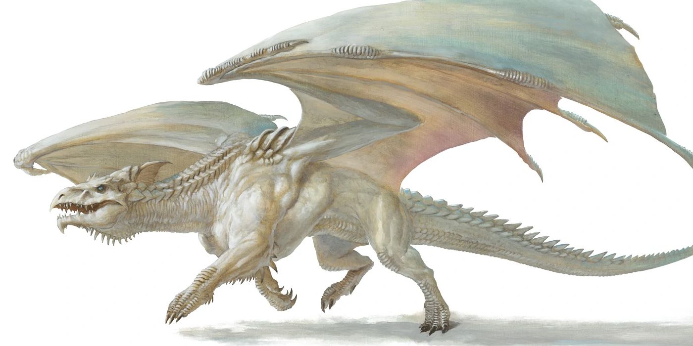 D&D Young White Dragon