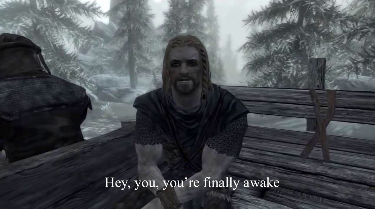 Skyrim Meme