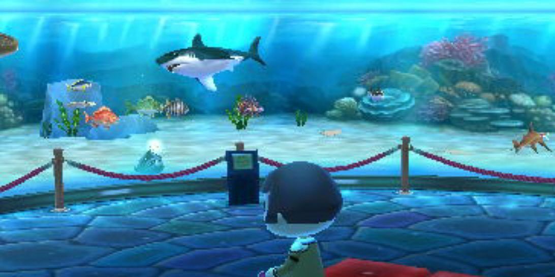 A screenshot of the Animal Crossing: New Leaf museum.