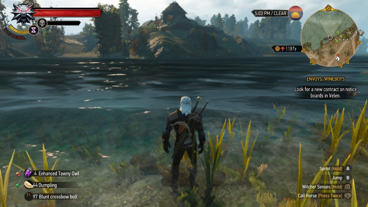 The Witcher 6