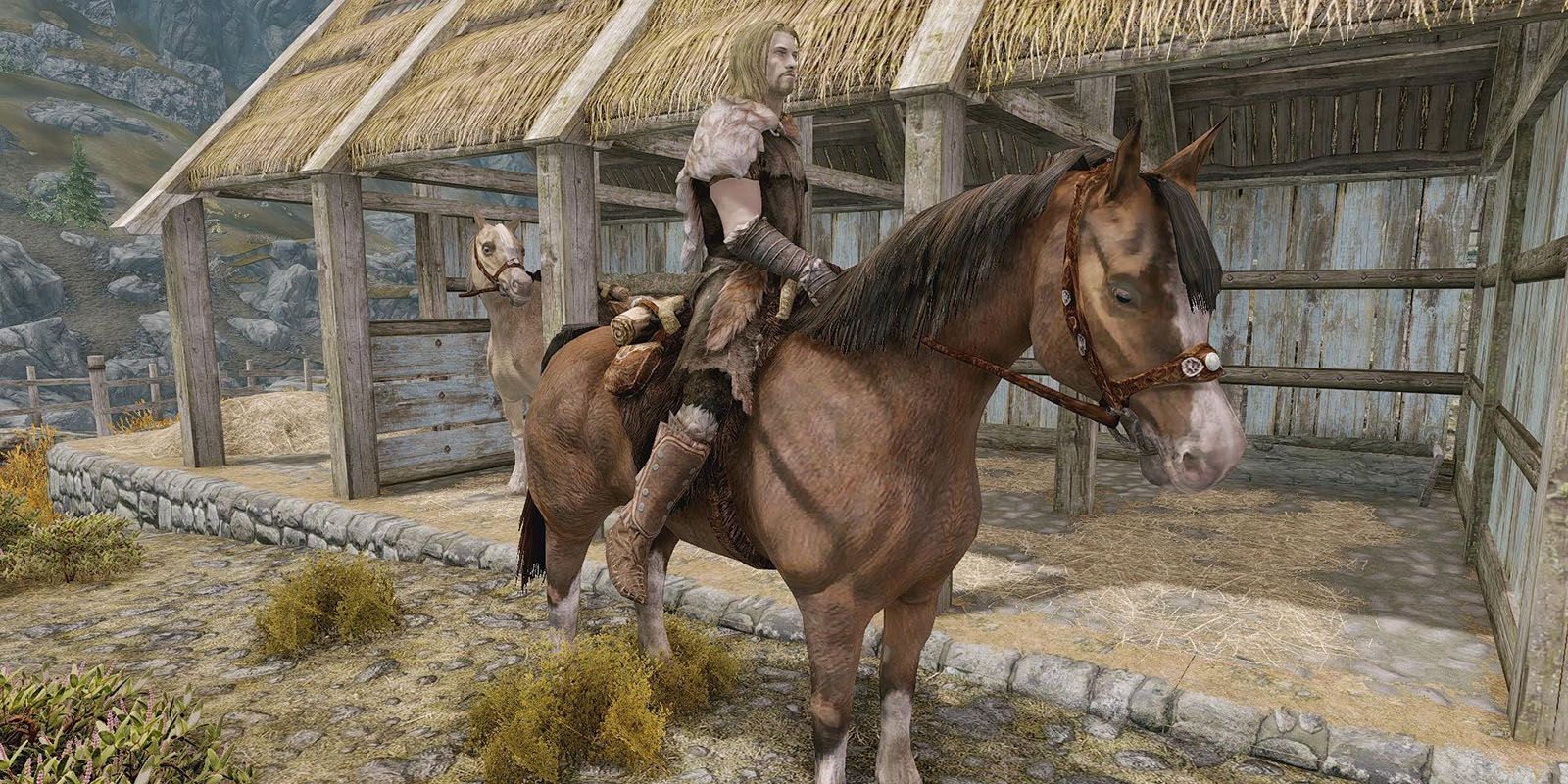 Horse near