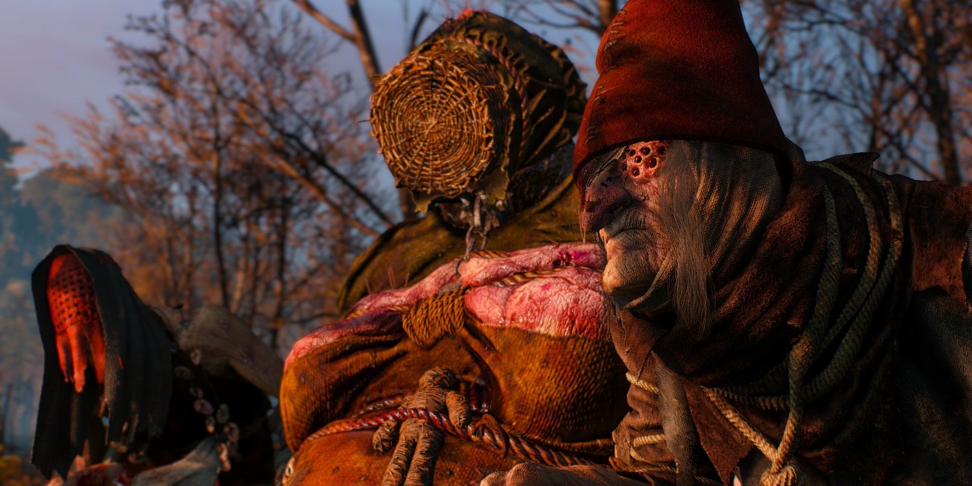 Witcher 3 Crones