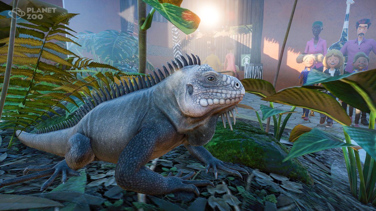 exhibit animal