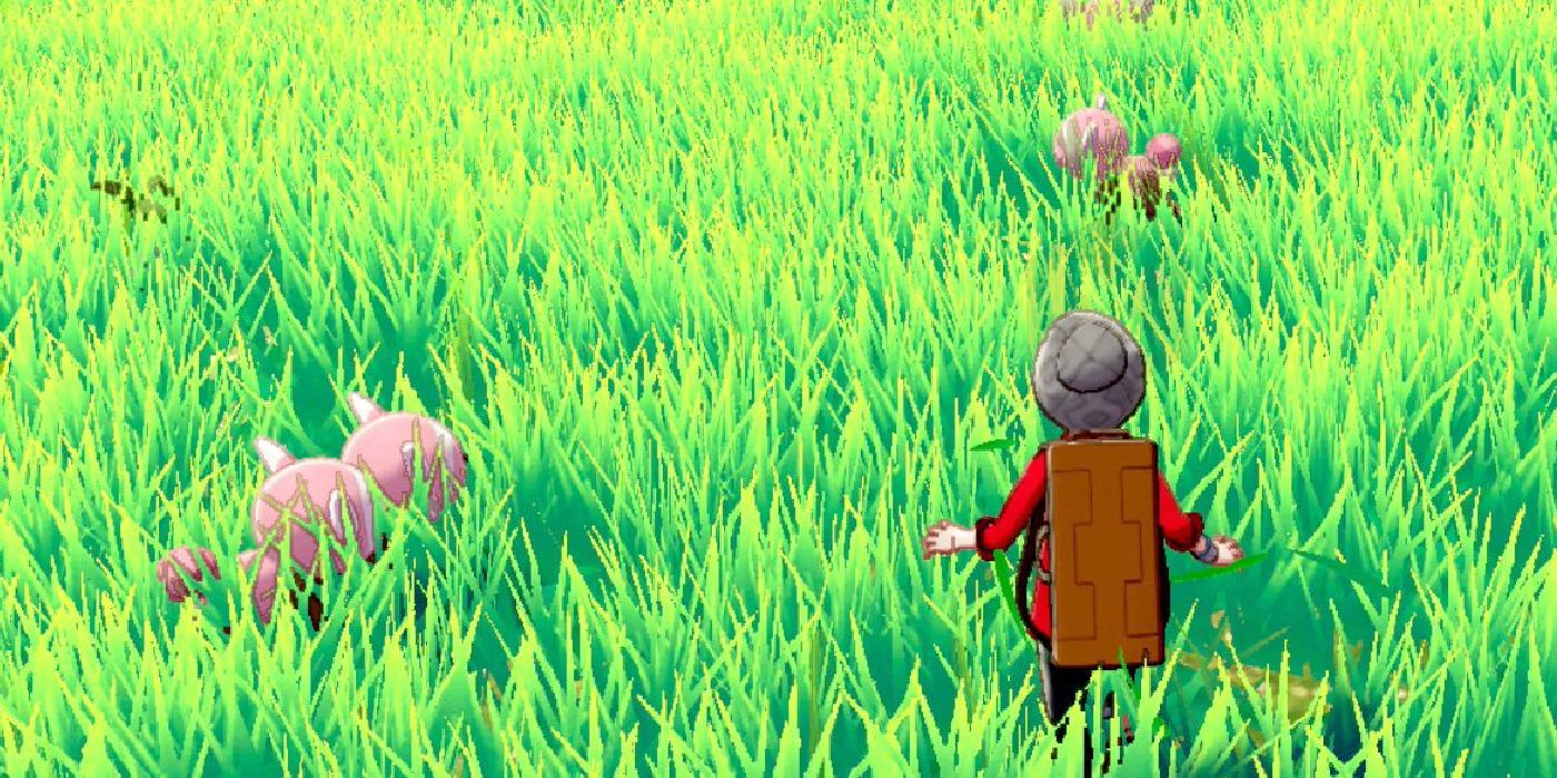 pokemon sword shield wild area 3