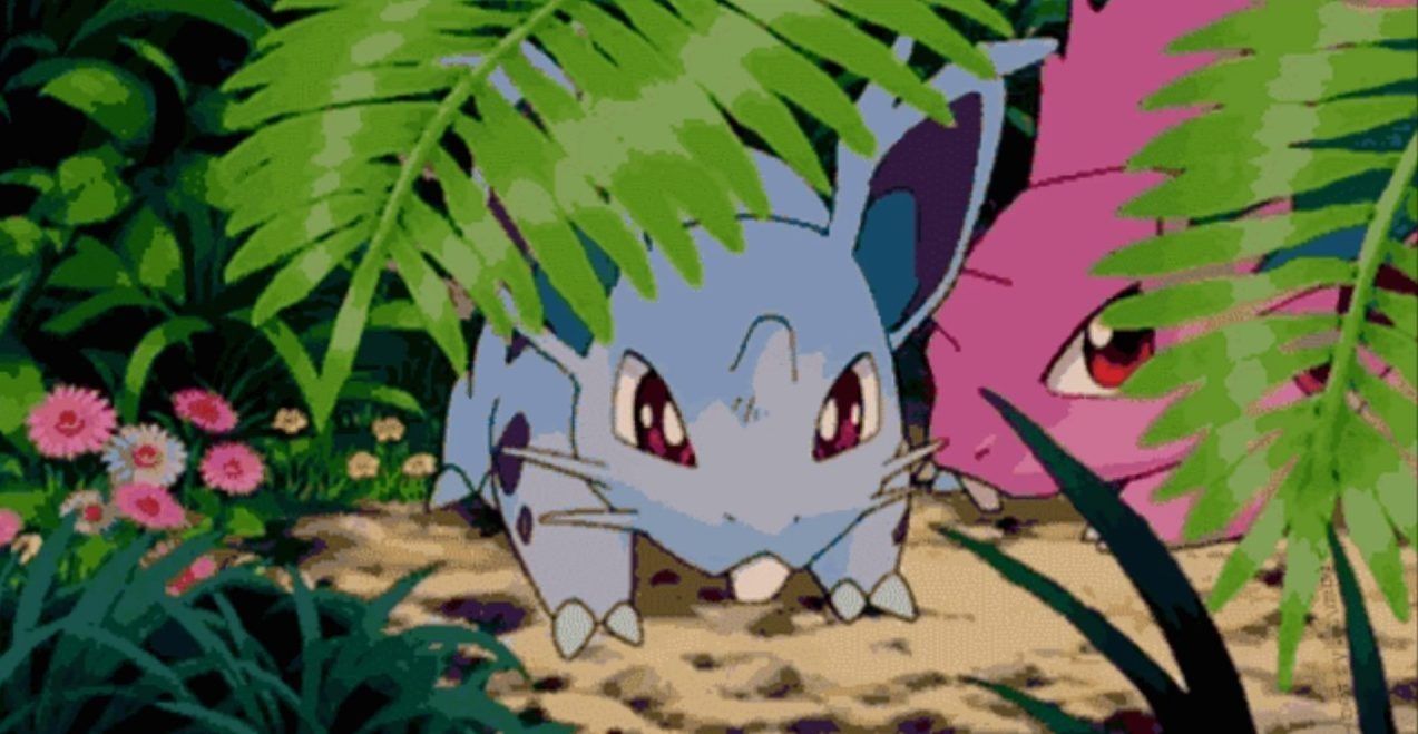 Nidoran in Pokemon anime