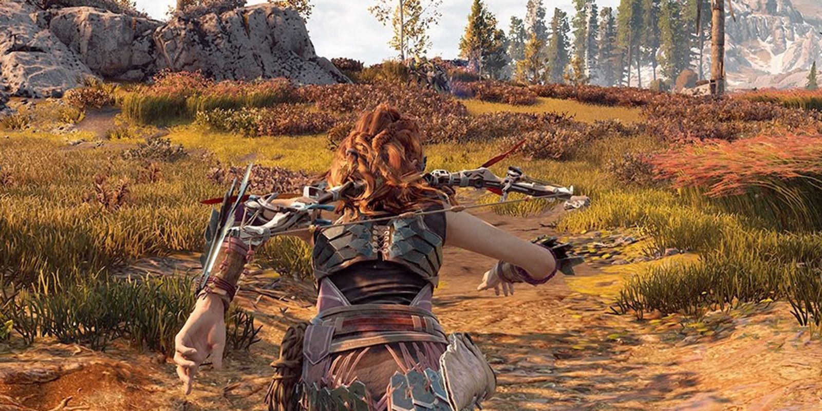 HZD Quiet Sprint