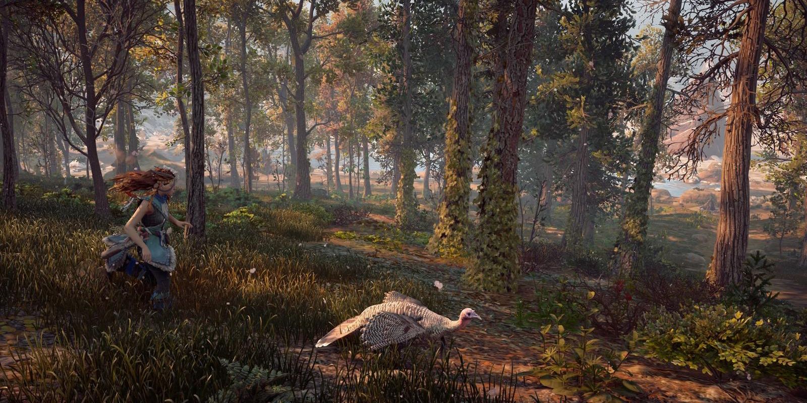 HZD Turkey