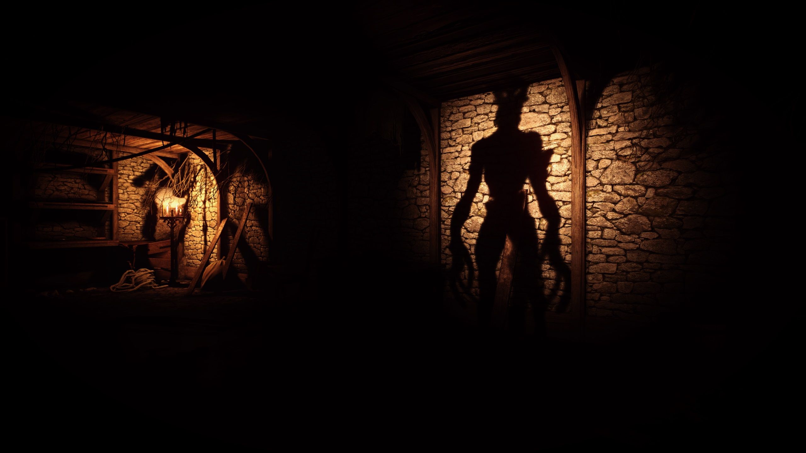 Witcher 3 Hym In Shadows
