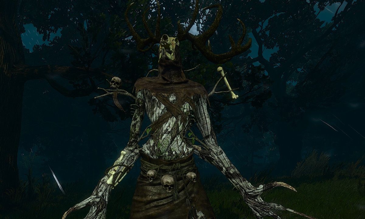 Lord of the Wood Cropped