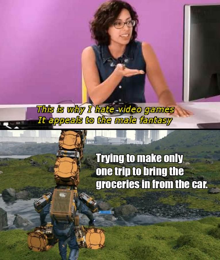 The male fantasy DS meme