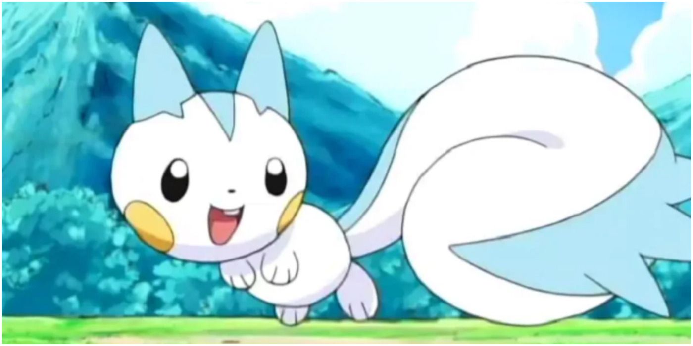 pachirisu