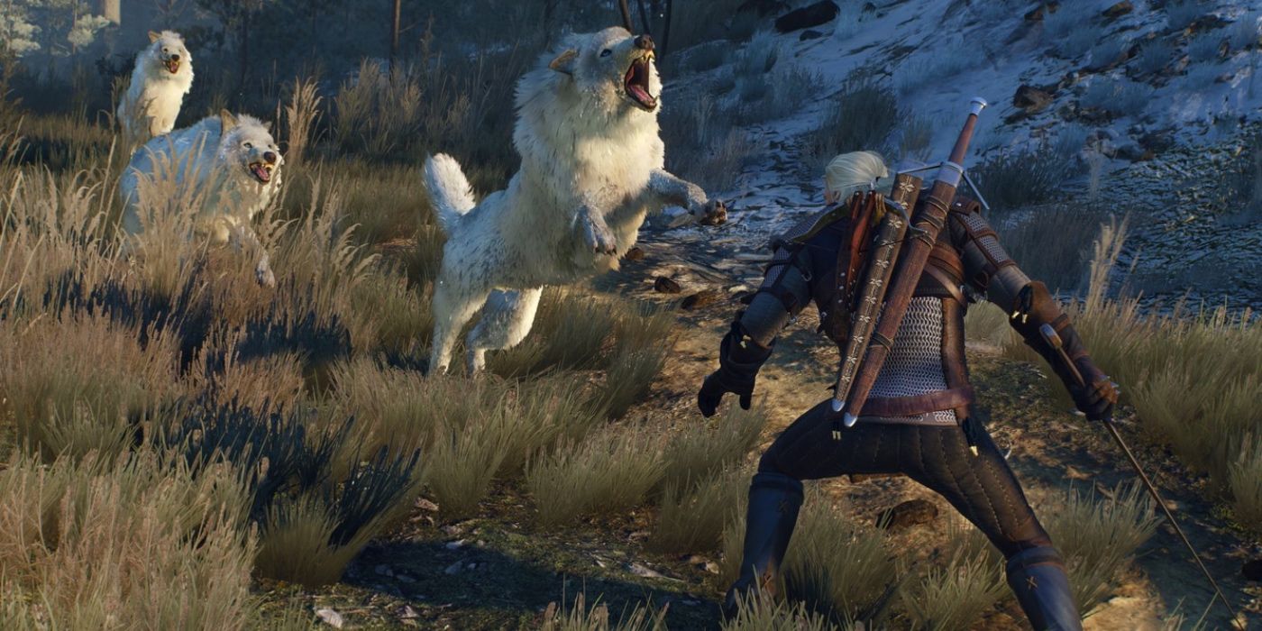 White Wolves in Witcher 3
