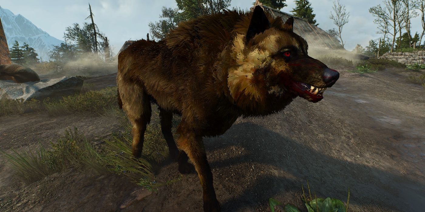 Wild Dogs in Witcher 3