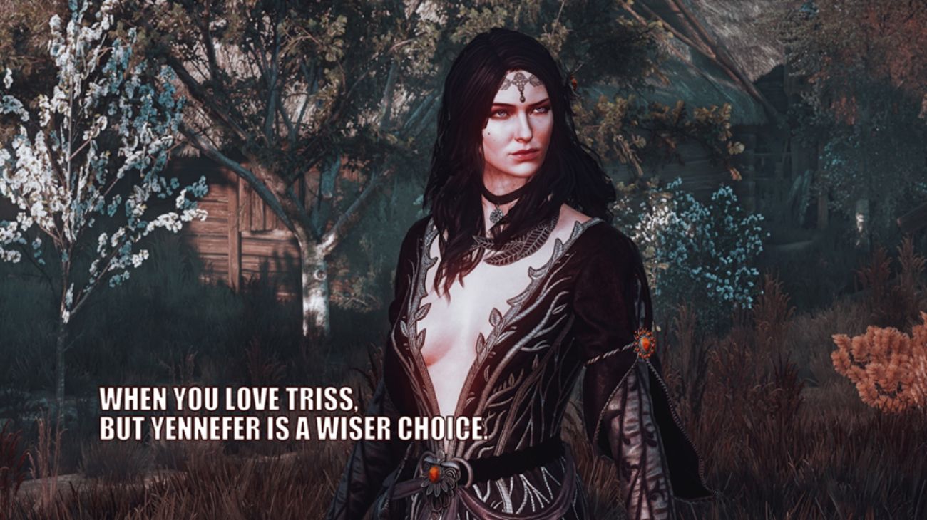Witcher 3 Yennefer And Triss Mash Up Meme