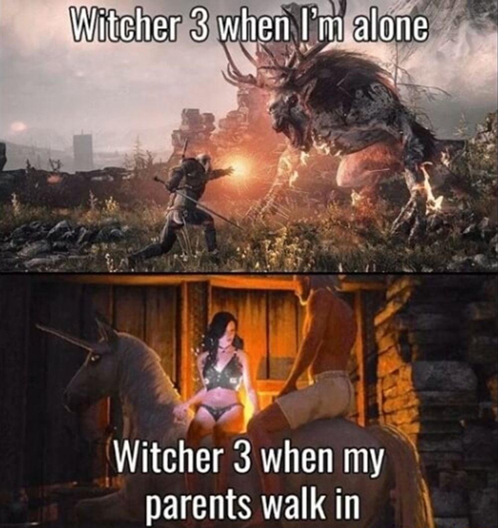 Witcher 3 Yennefer Embarrassing Meme