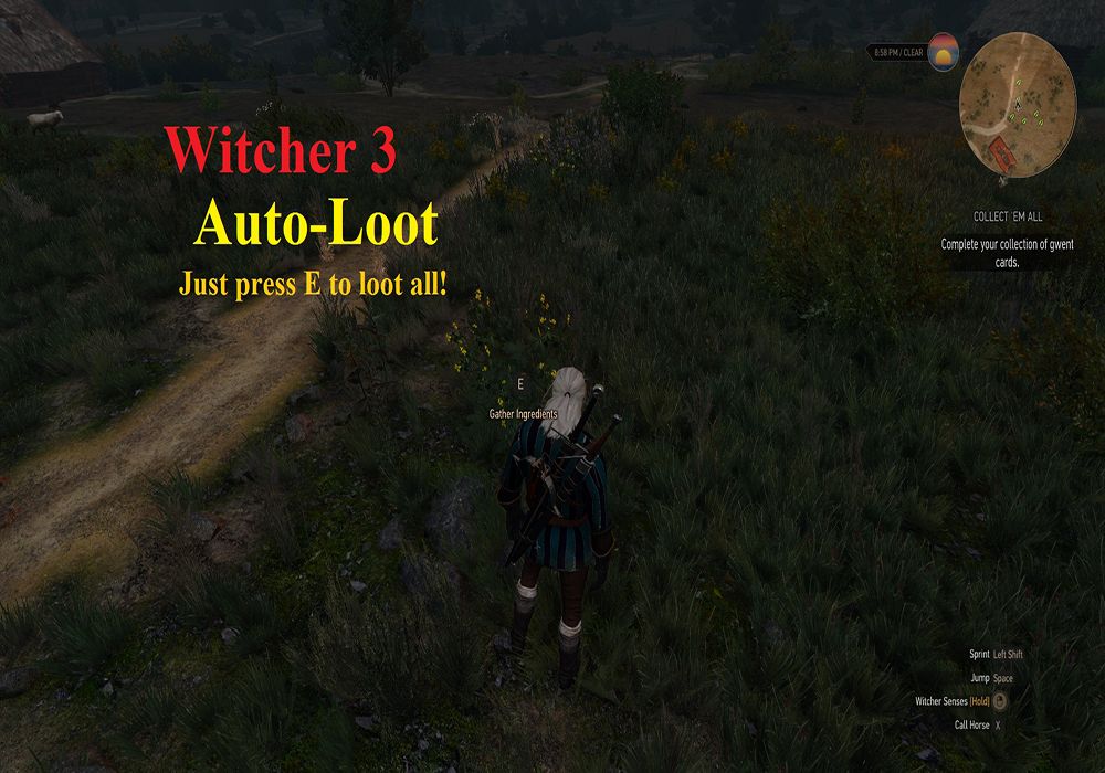 autoloot witcher mod