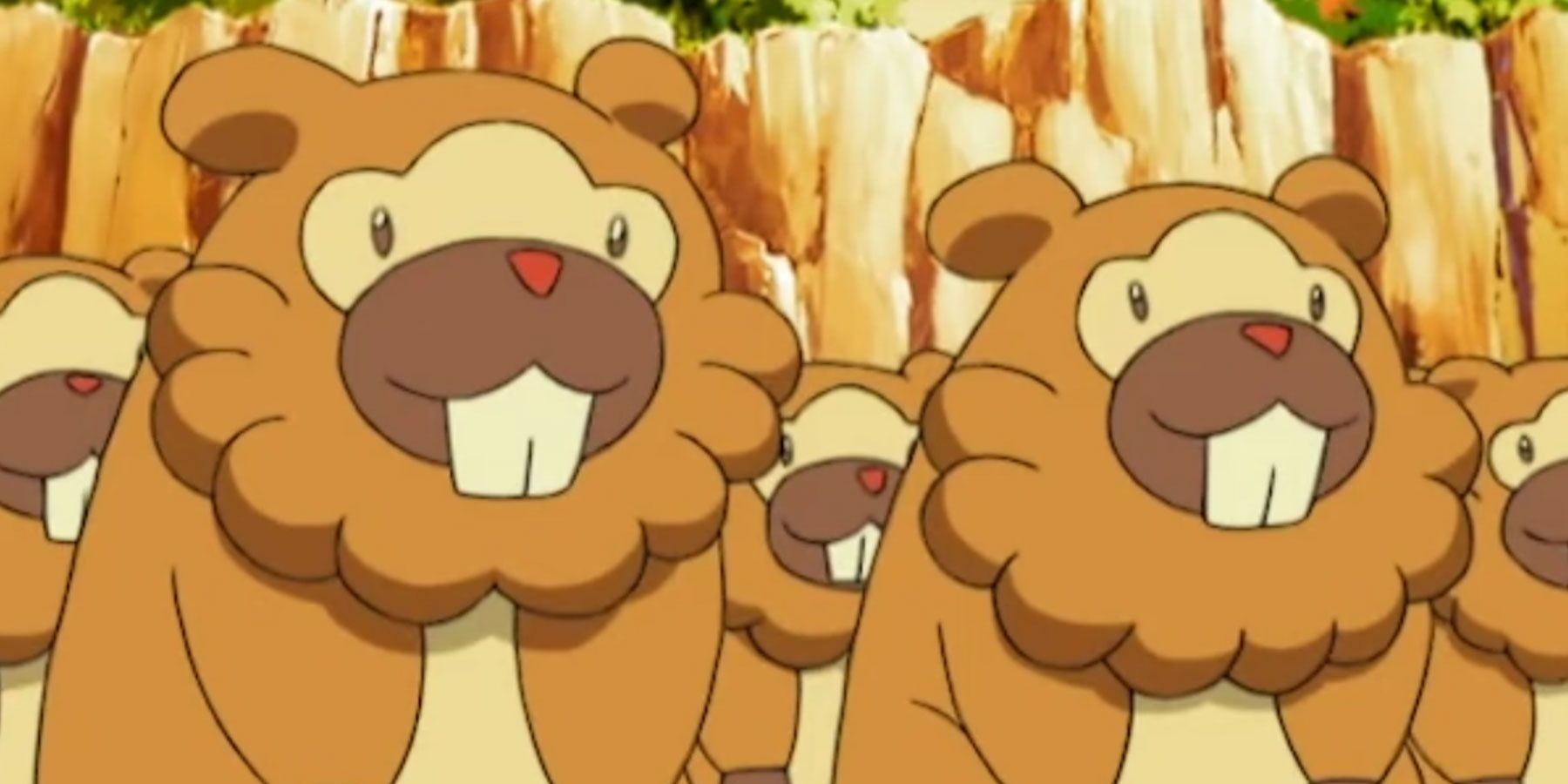 A gang of Bidoof standing around.