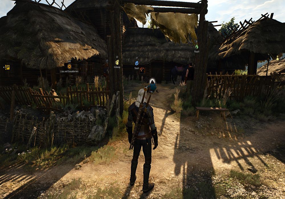 friendly HUD witcher mod