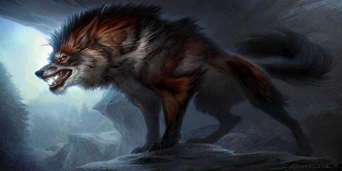 Wolf snarling