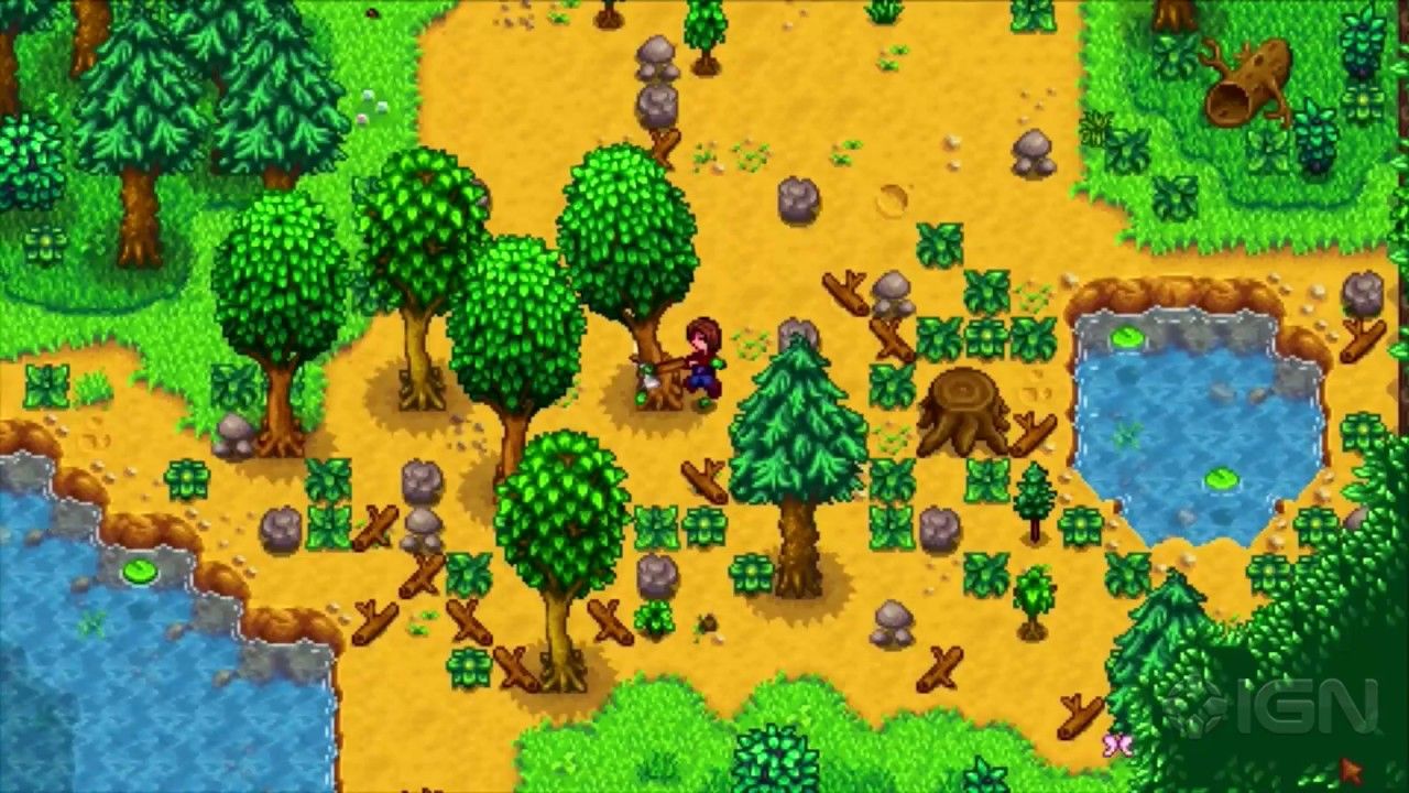 Gathering Wood Stardew