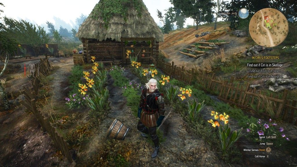 Witcher 3 Geralt