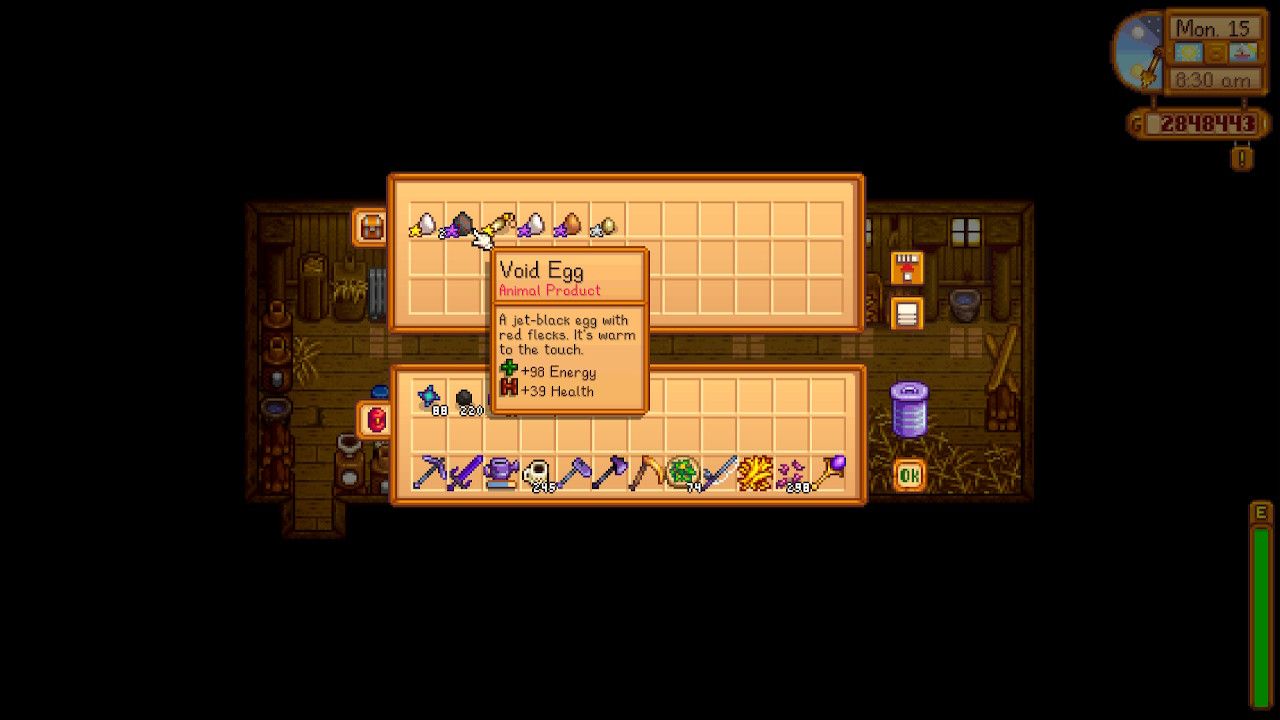 Void Egg Stardew