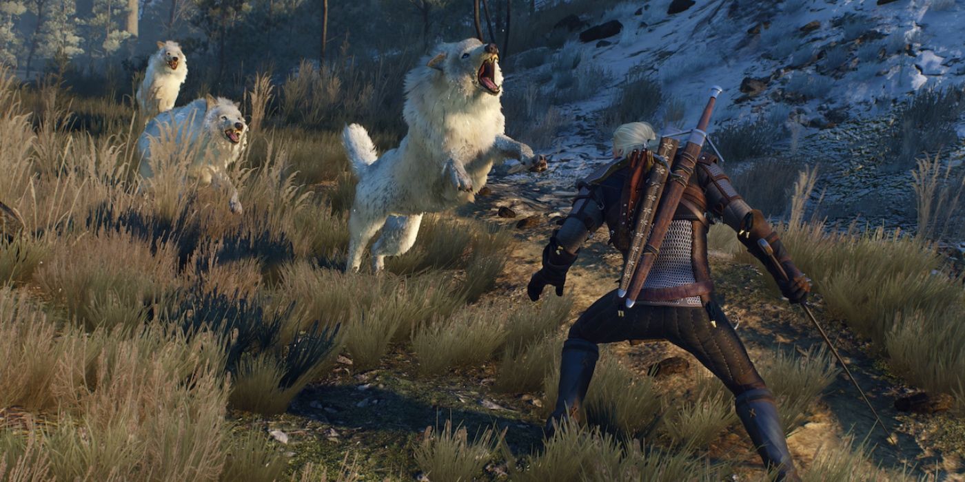 Wolves Witcher 3