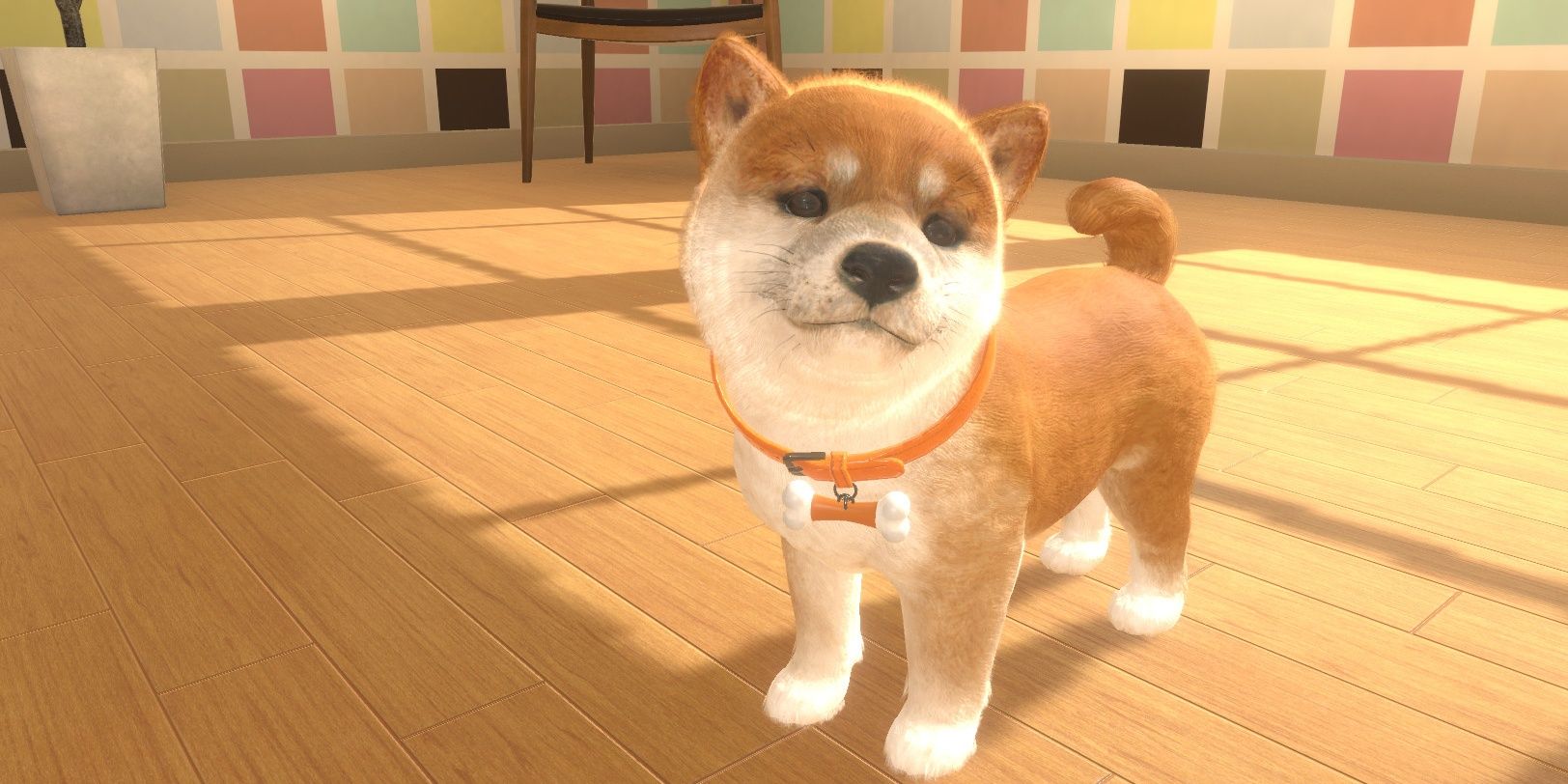 A puppy in Nintedogs and Cats.