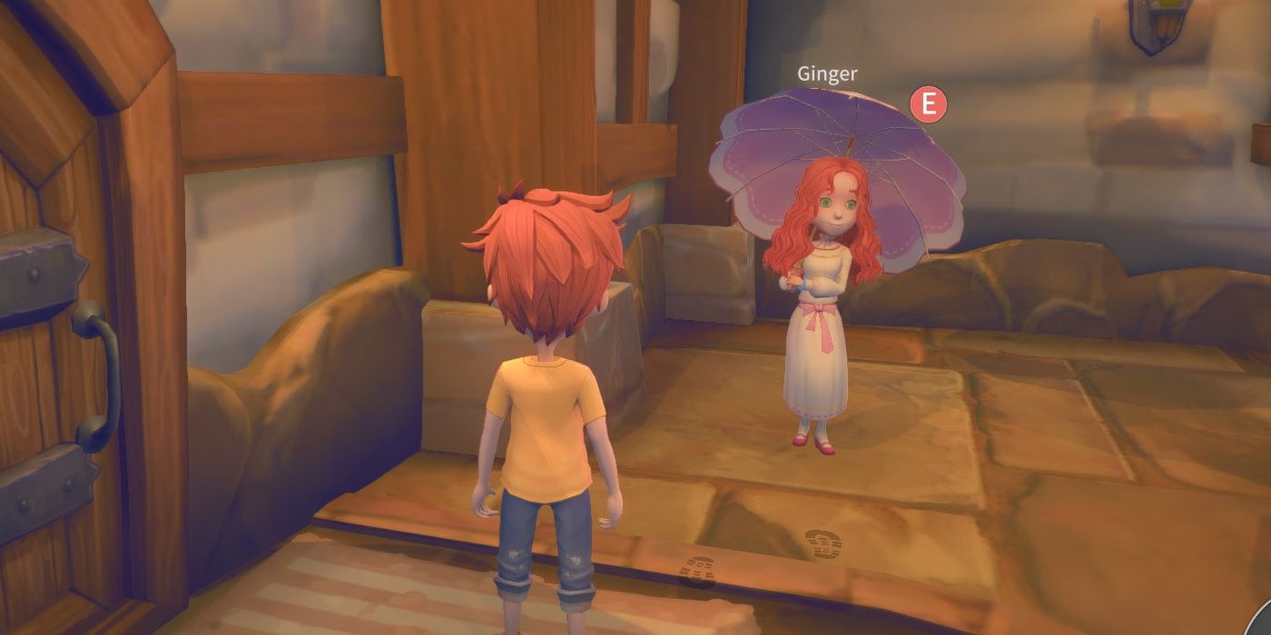Ginger in Your Home