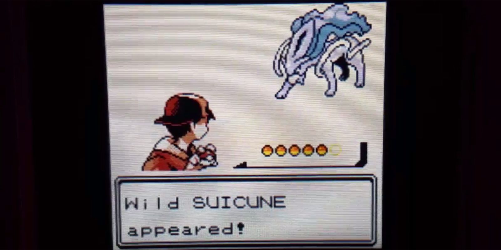 Wild Suicune Pokemon