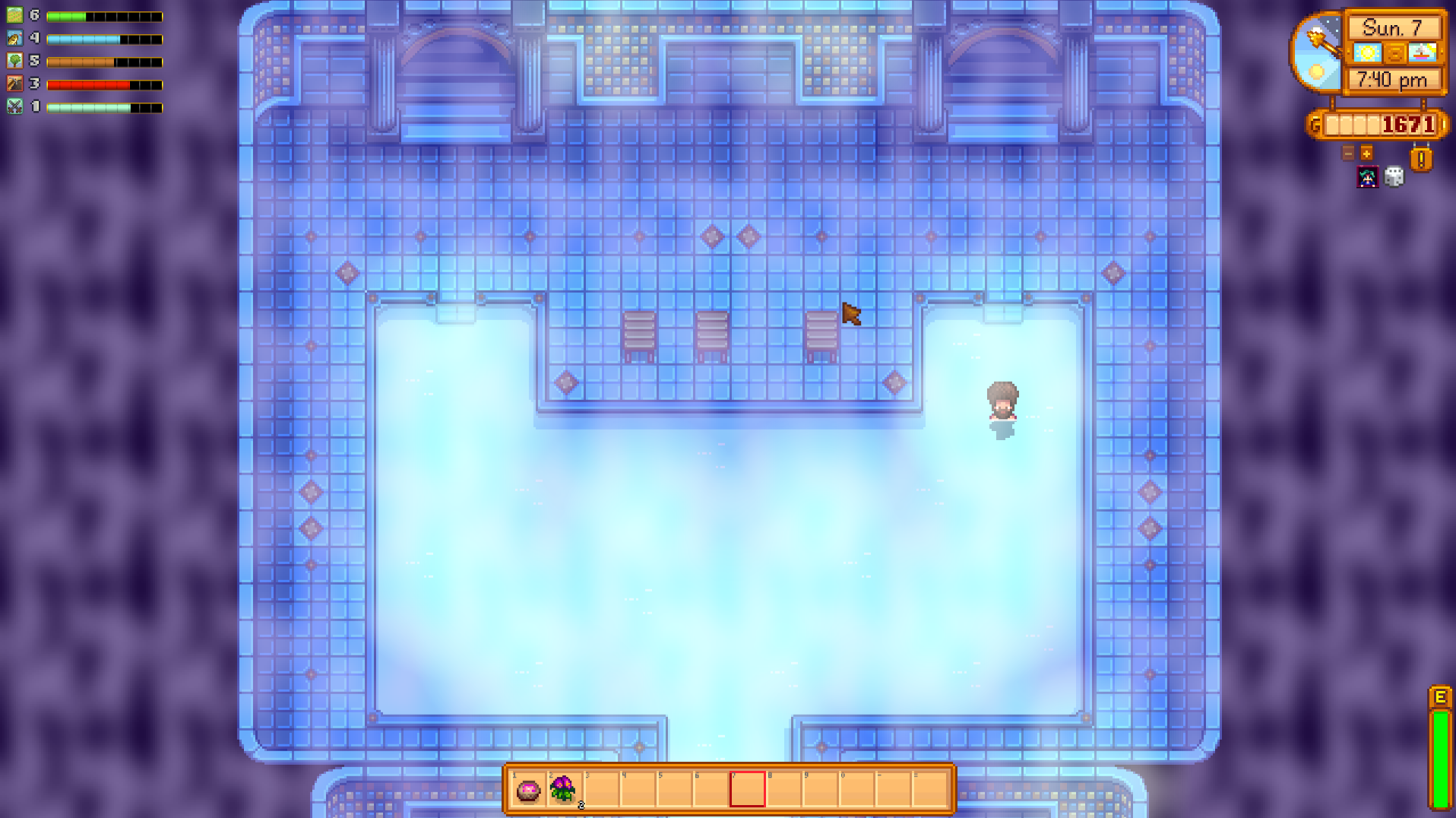Spa Stardew Valley