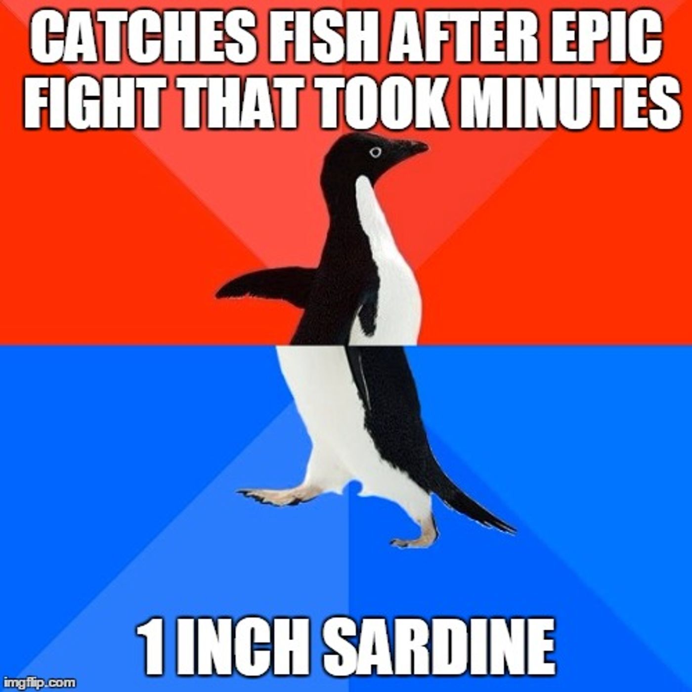 Stardew Valley Fishing Meme
