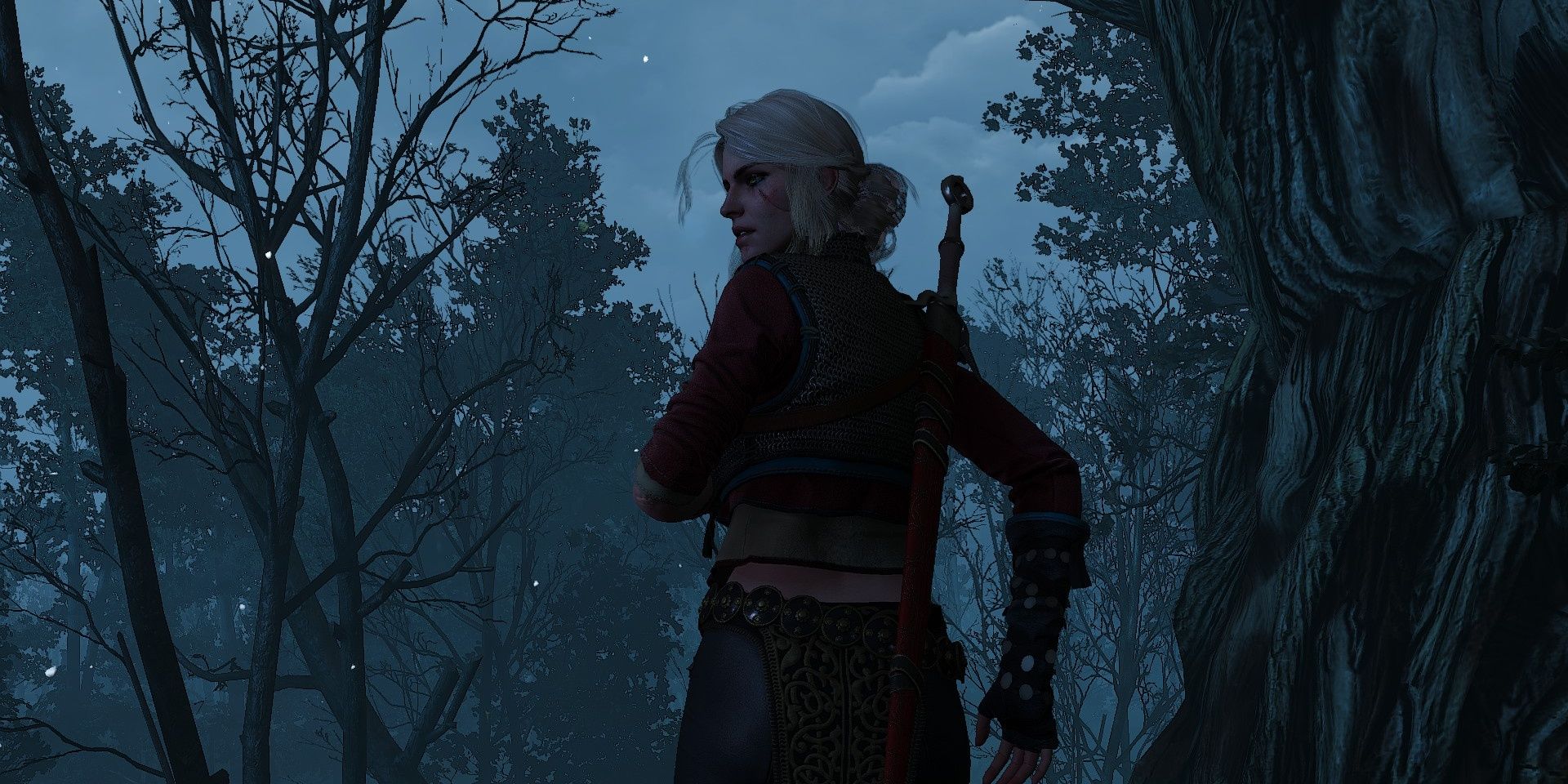 Ciri Running Fleeing Witcher 3