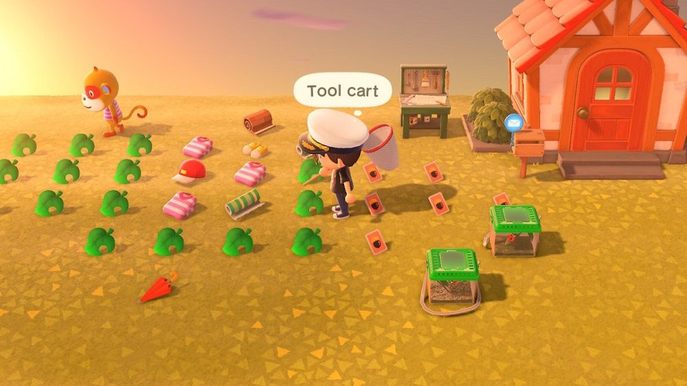 Animal Crossing Dropped Items