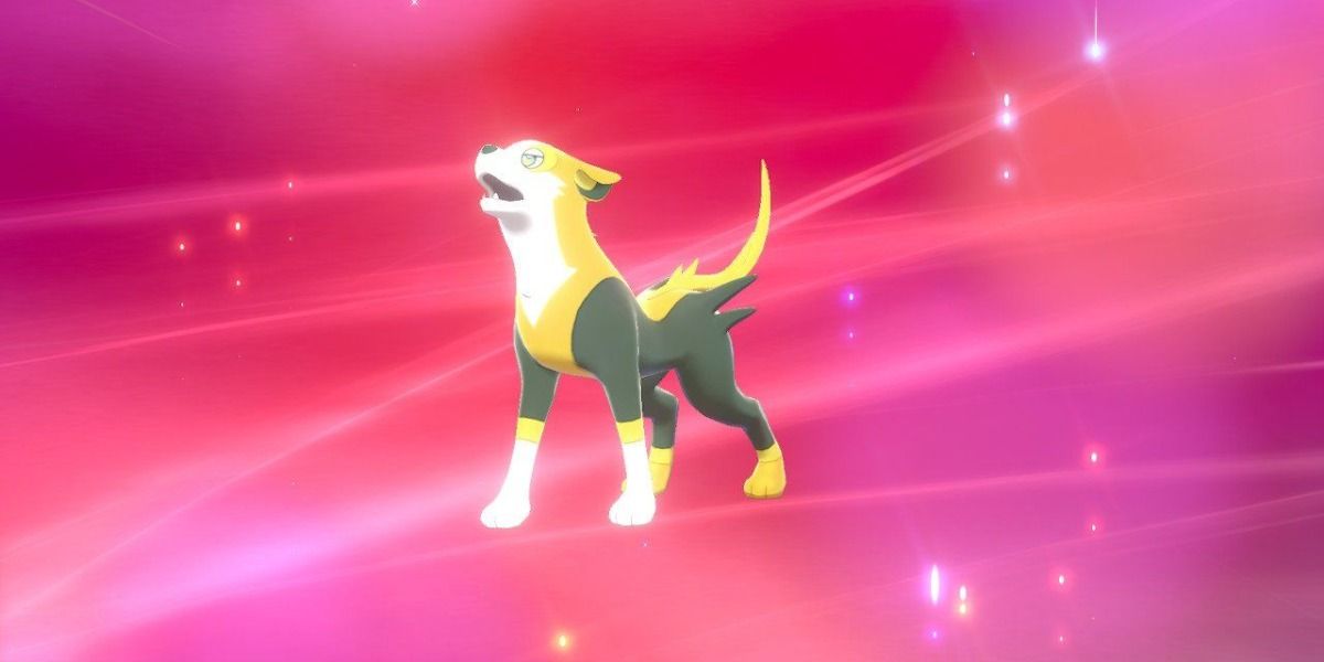 Pokemon Boltund