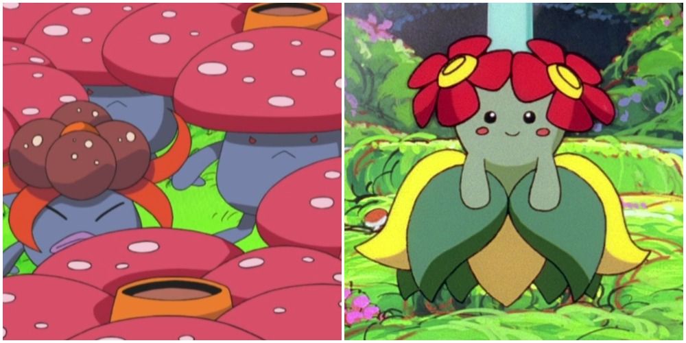 Image Left - A group of Gloom and Vileplume Pokemon Image Right - A Bellossom Pokemon