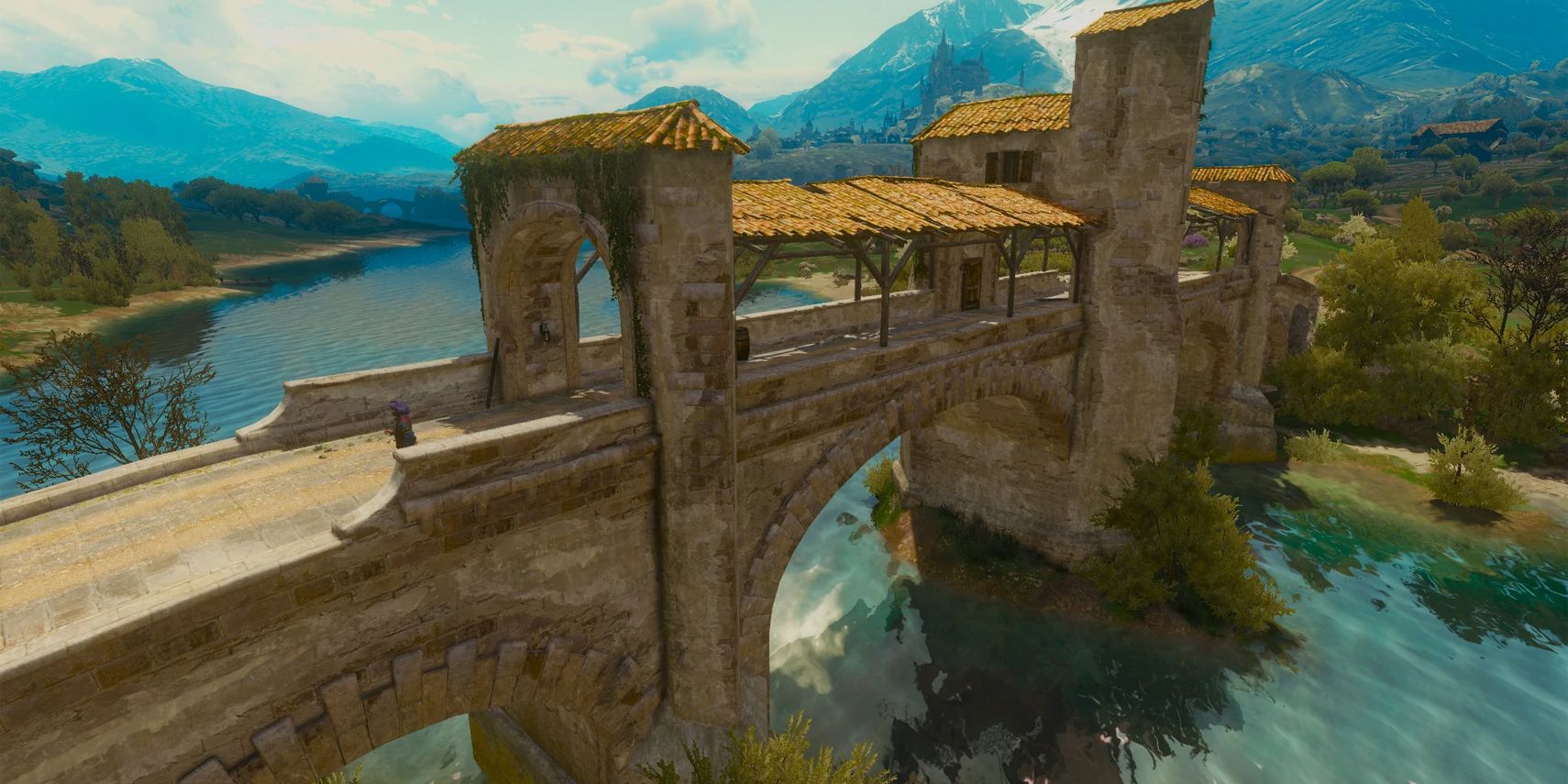 Witcher Plegmunds Bridge