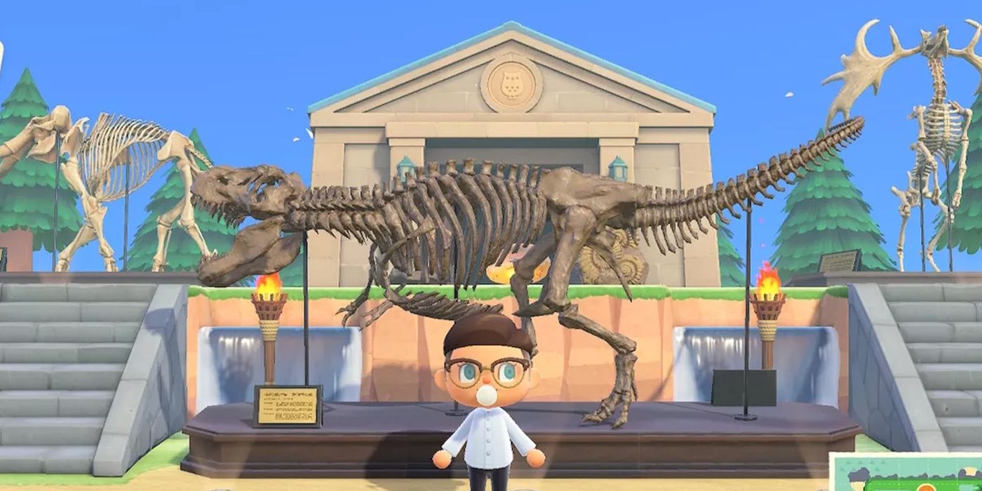 player in front of fossils and museum in animal crossing new horizons