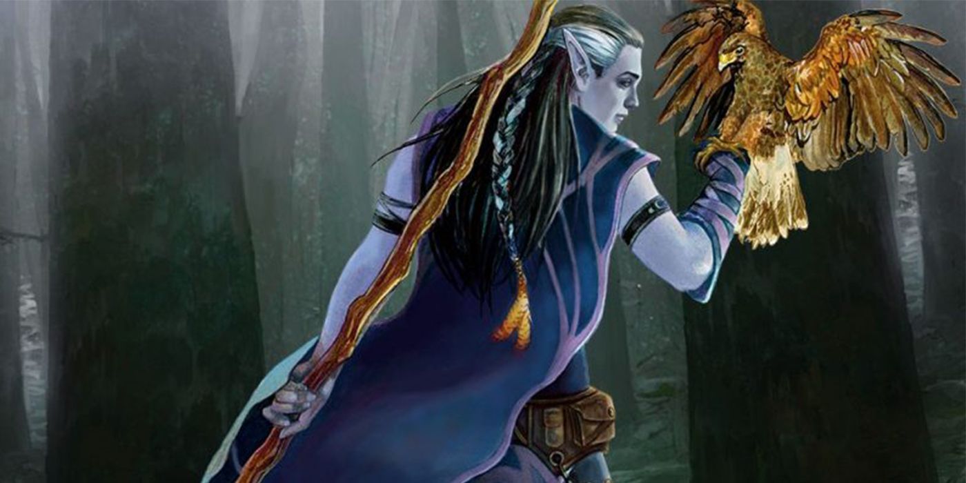druid d&d