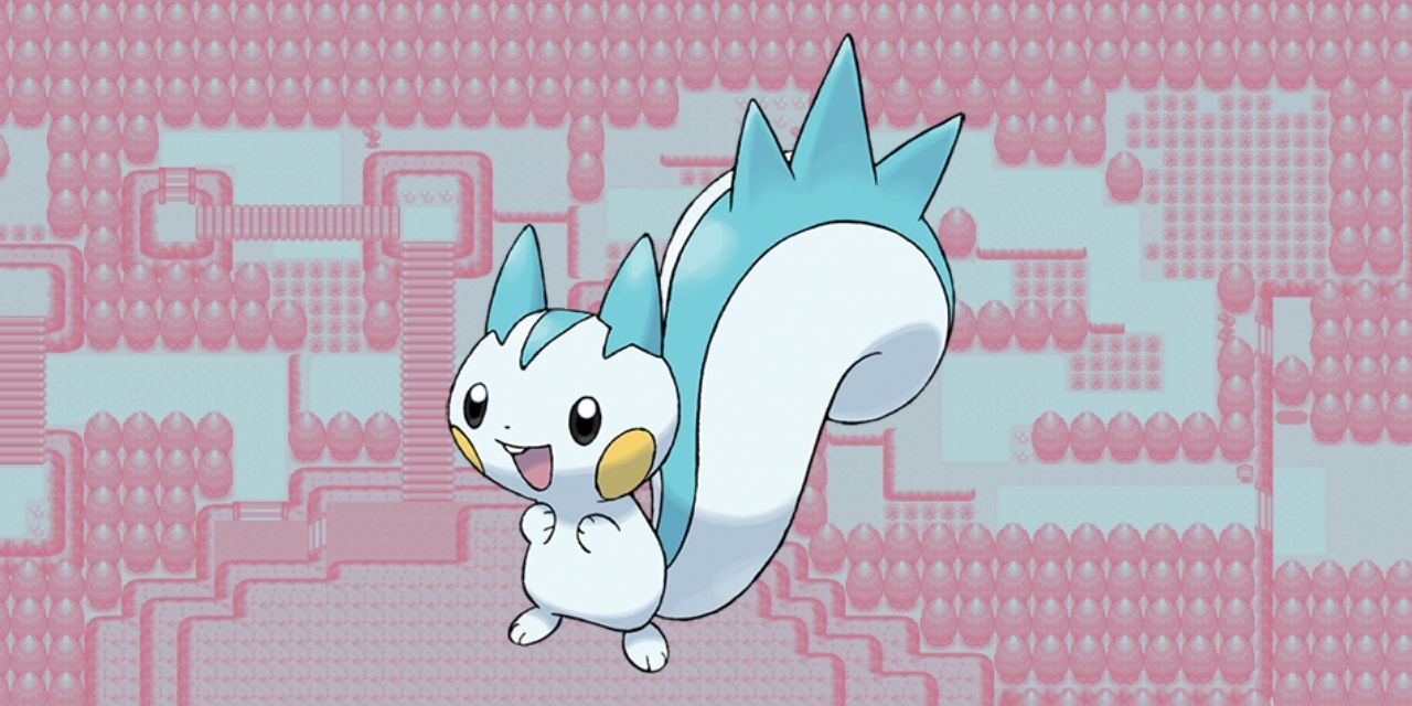 Pacharisu