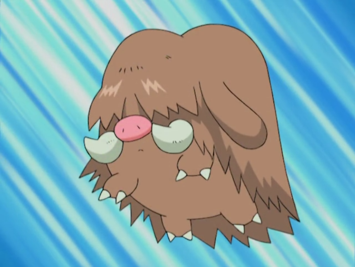 piloswine in the pokemon anime