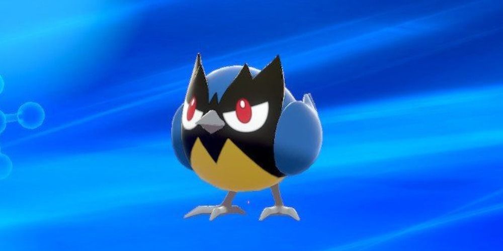 rookidee