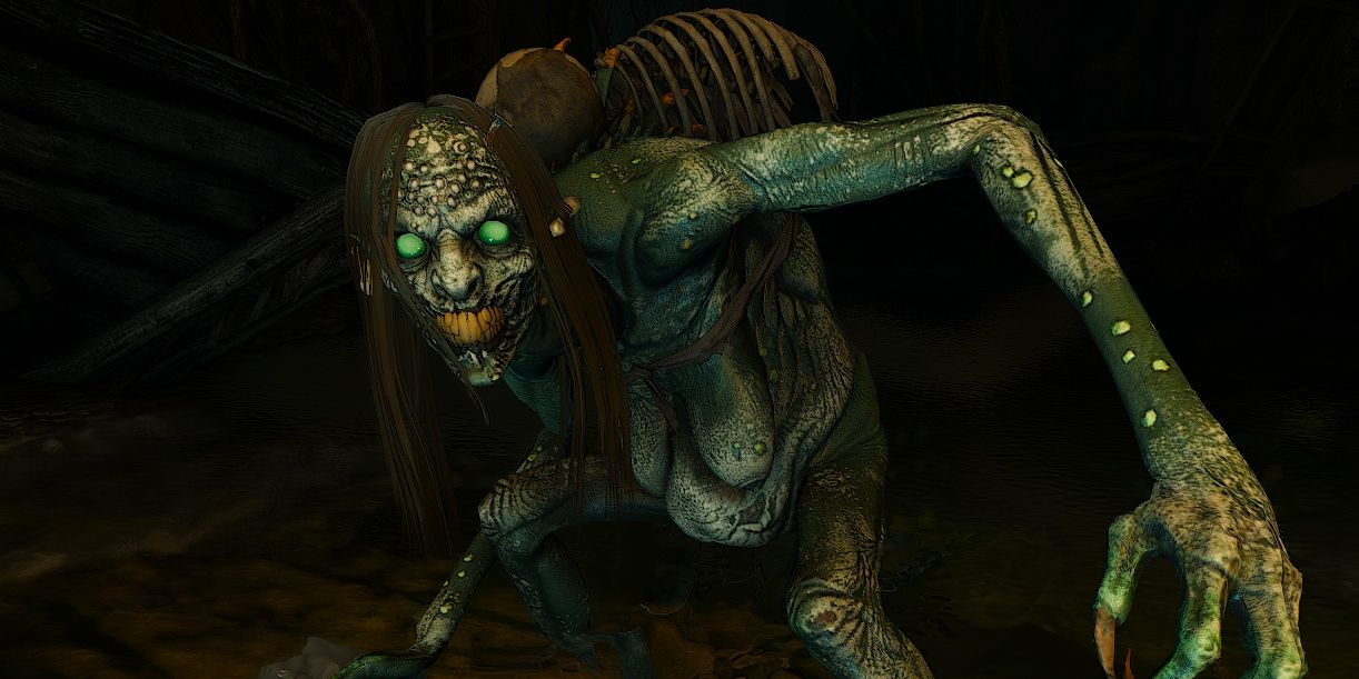 witcher3-contract-muire_dyaeblen-waterhag