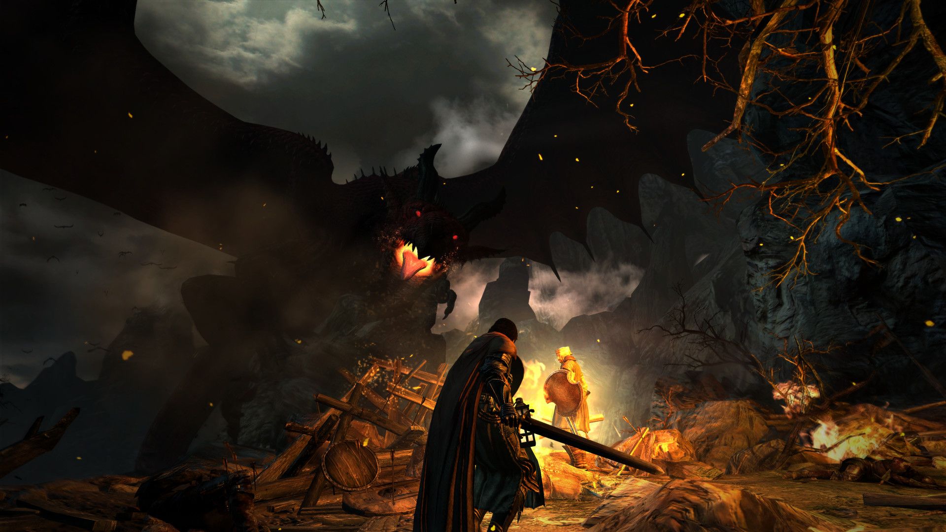 Dragon's Dogma boss fight